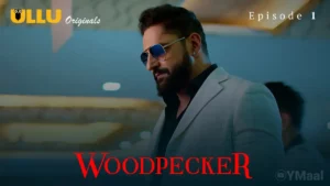 Woodpecker