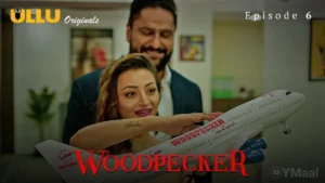 Woodpecker Episode 6