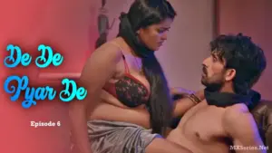 De De Pyar De Episode 6